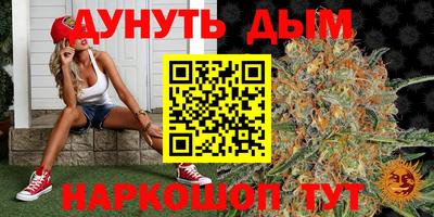 стаф Гатчина