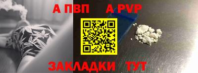 стаф Гатчина