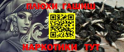 стаф Гатчина