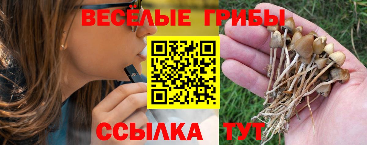 Псилоцибиновые грибы Psilocybe  Вход с VPN  Гурьевск 
